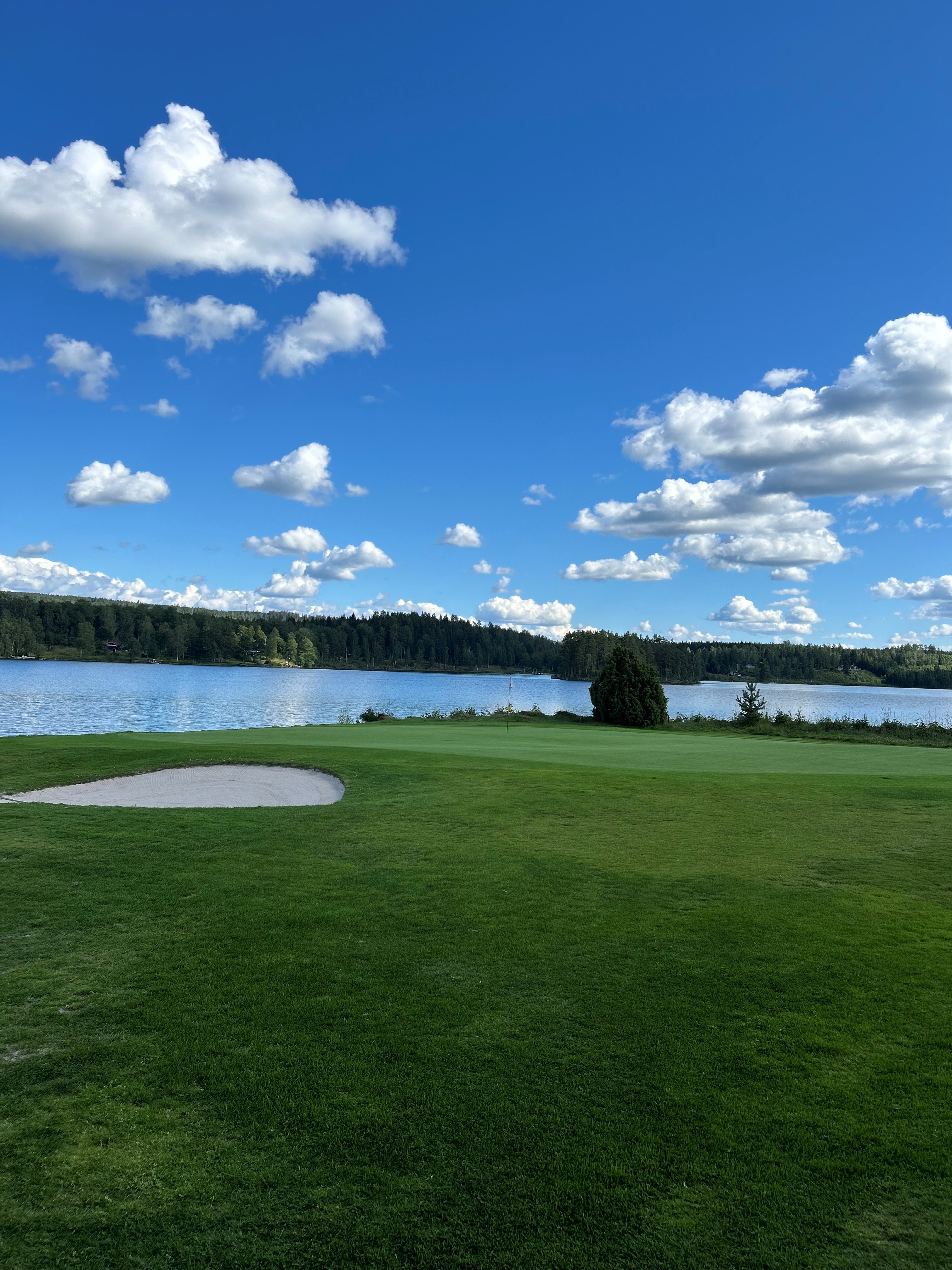 Green och bunker på en golfbana