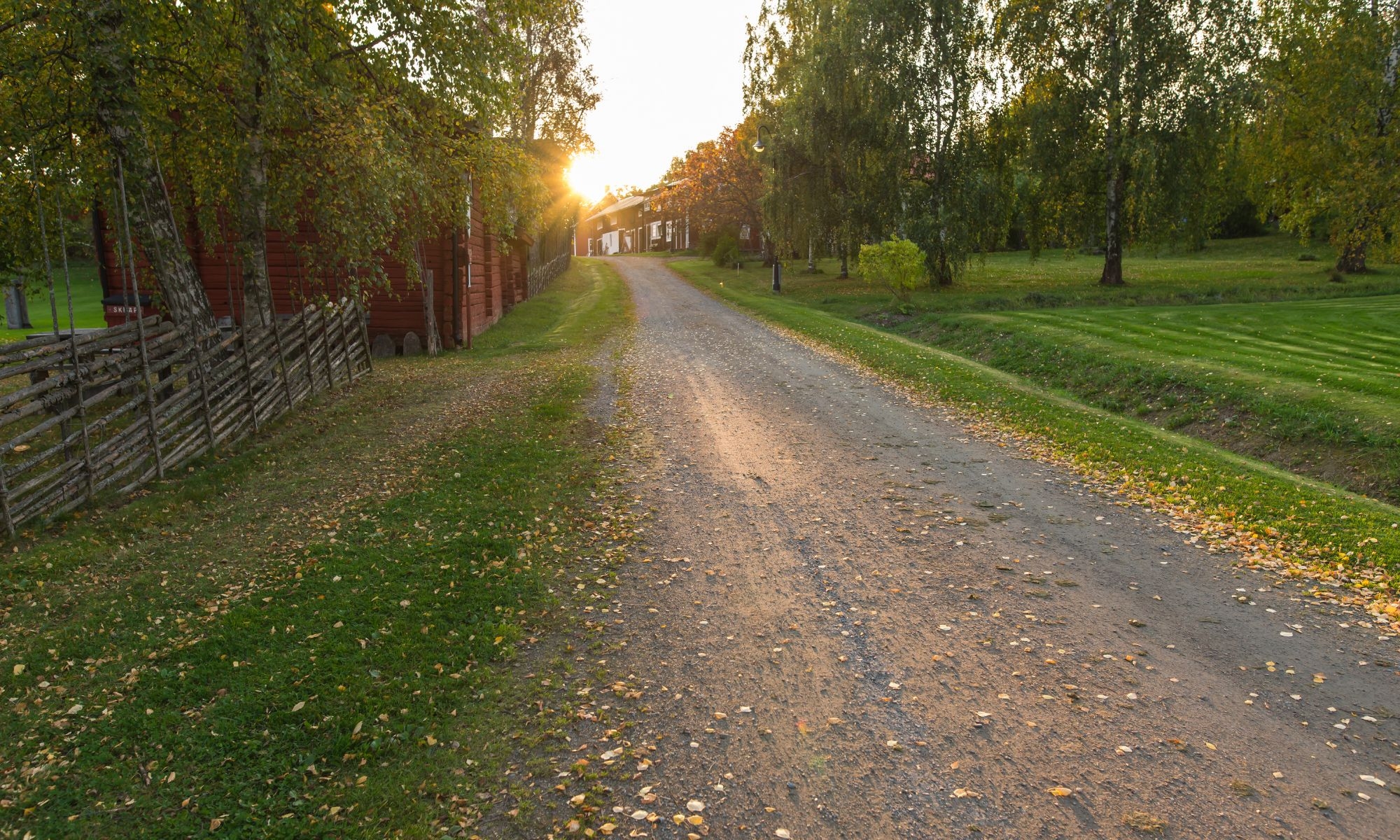 Höstlöv på en grusväg